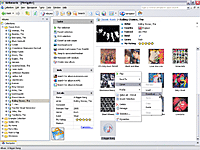 Choosing Album
