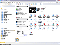 Icon View